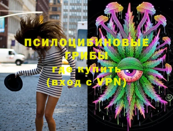 мескалин Заводоуковск
