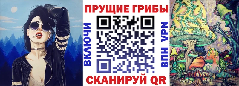 Галлюциногенные грибы мицелий  Мглин 