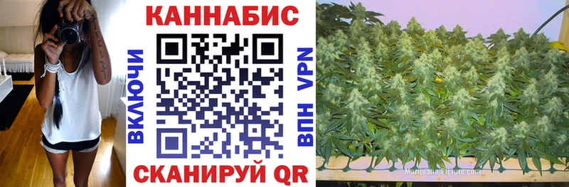 Бошки Шишки сатива  Мглин 